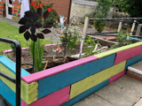 Image of Sensory garden flower bed