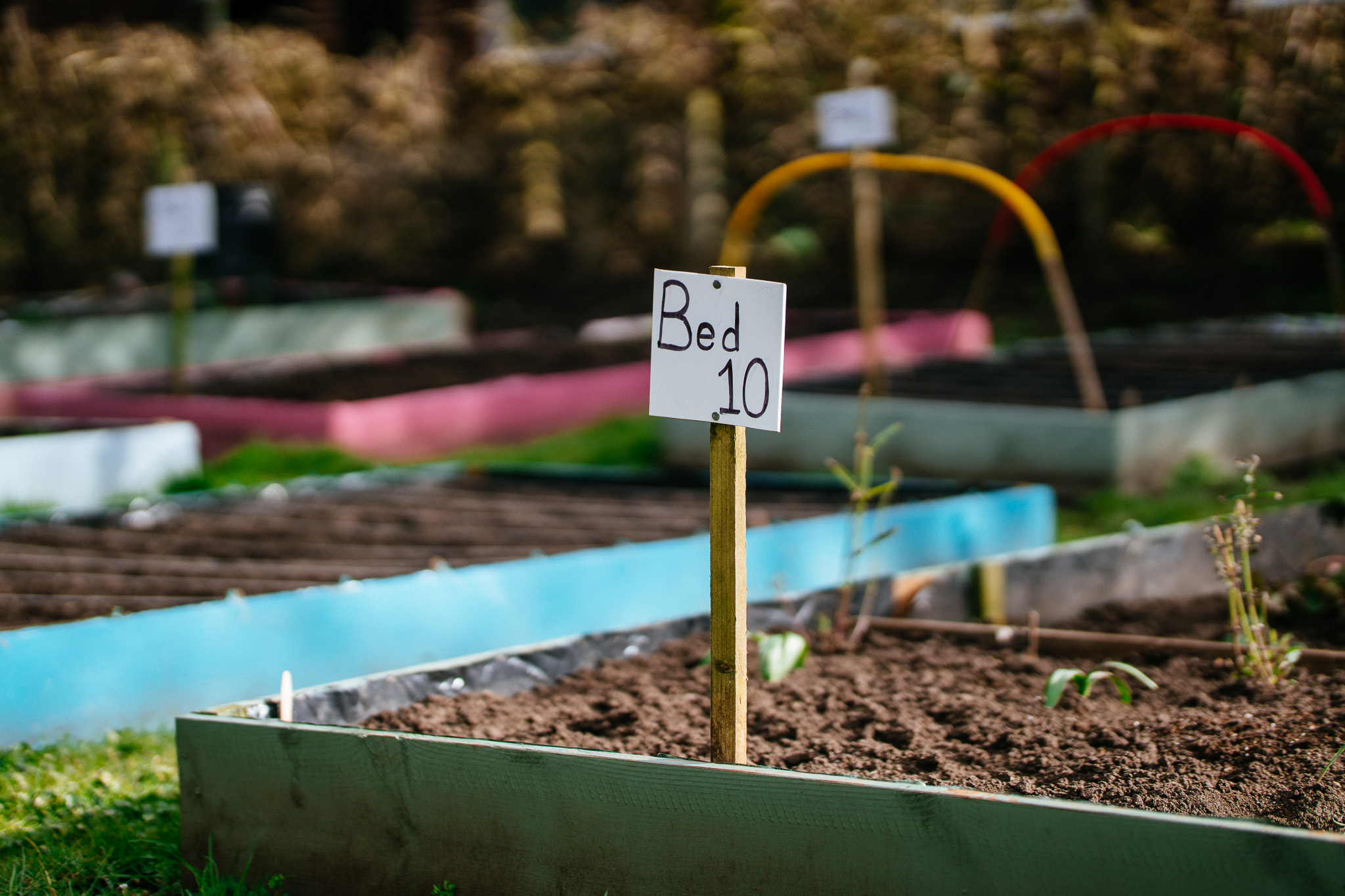 Close-up of raised garden bed with a small handmade sign in the soil reading 'bed 10